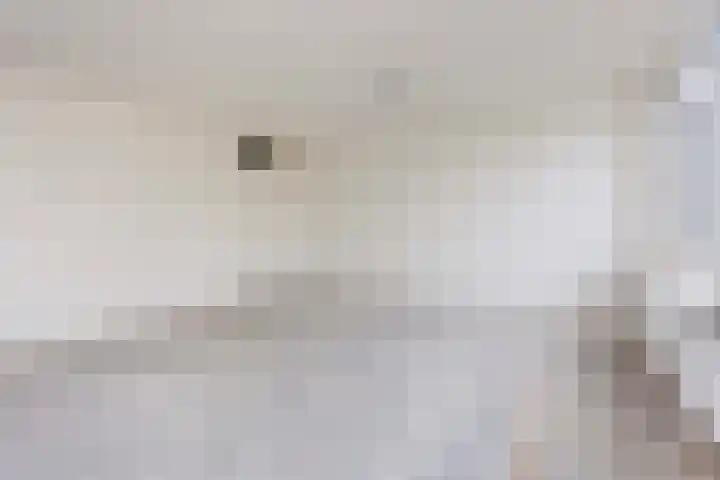 Vrijhoef 80 Leusden thumbnail 8