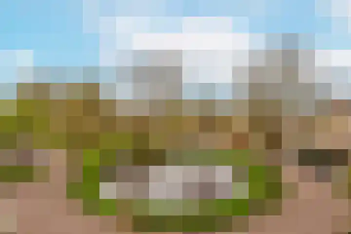 Vrijhoef 82 Leusden thumbnail 10