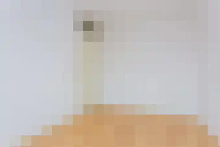 Vrijhoef 82 Leusden thumbnail 23