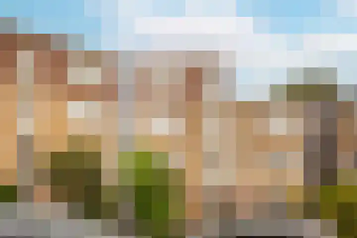 Vrijhoef 82 Leusden thumbnail 26