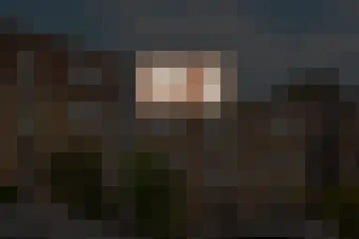 Vrijhoef 82 Leusden thumbnail 27