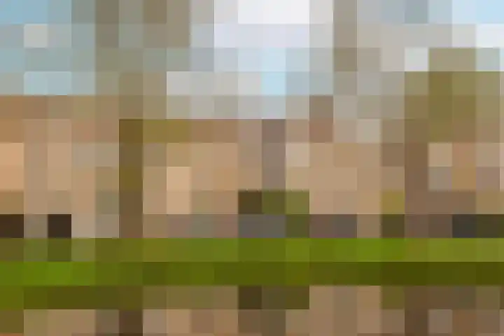 Vrijhoef 82 Leusden thumbnail 30