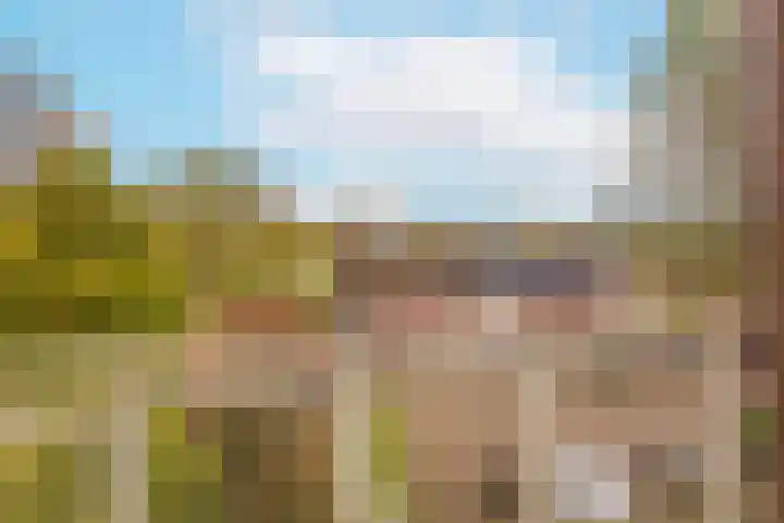 Vrijhoef 82 Leusden thumbnail 5