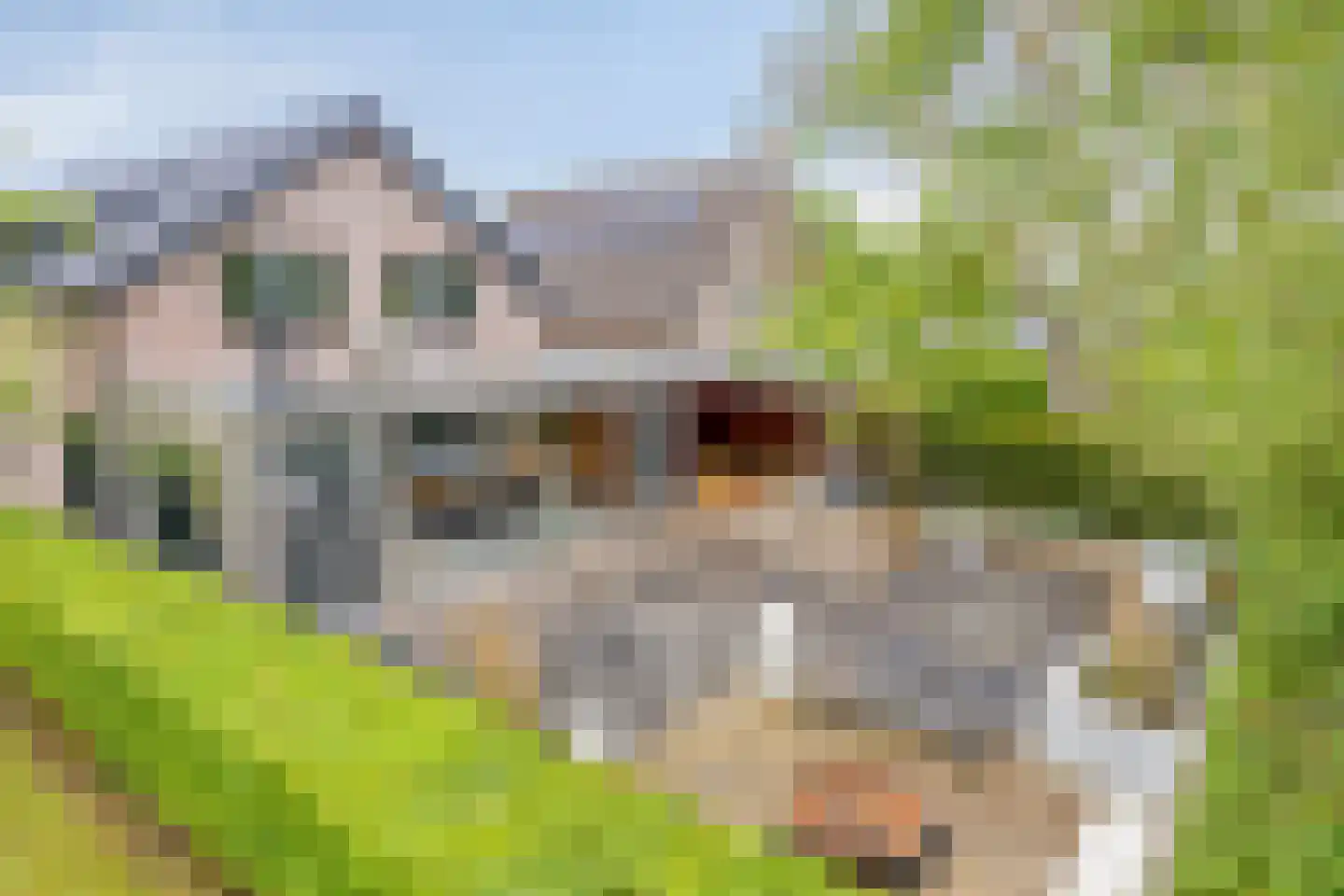Vrijhof 2 Zaltbommel thumbnail 45