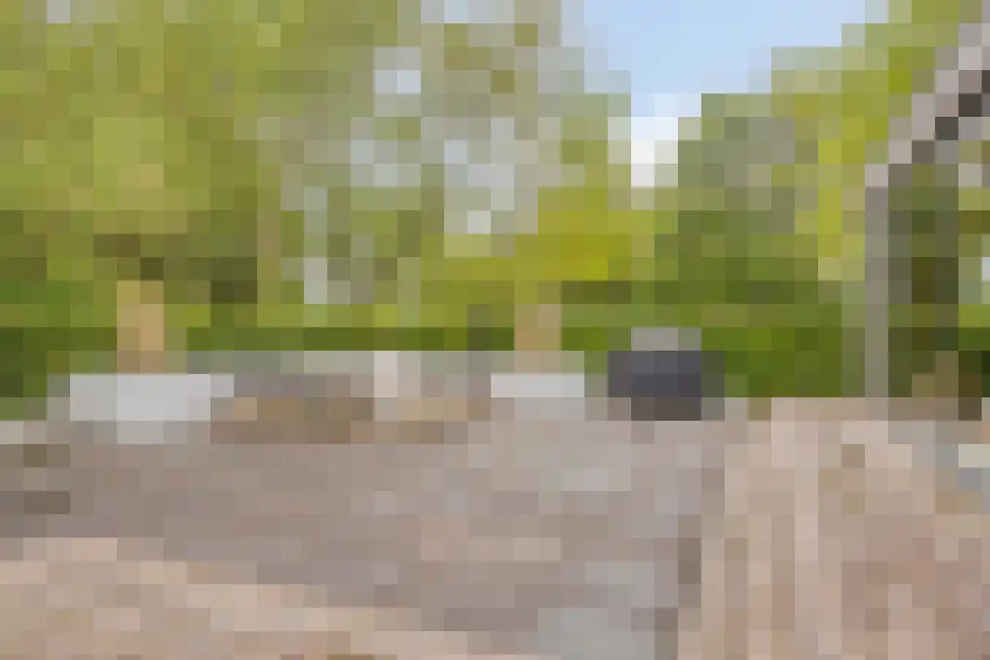 Vrijhof 2 Zaltbommel thumbnail 47