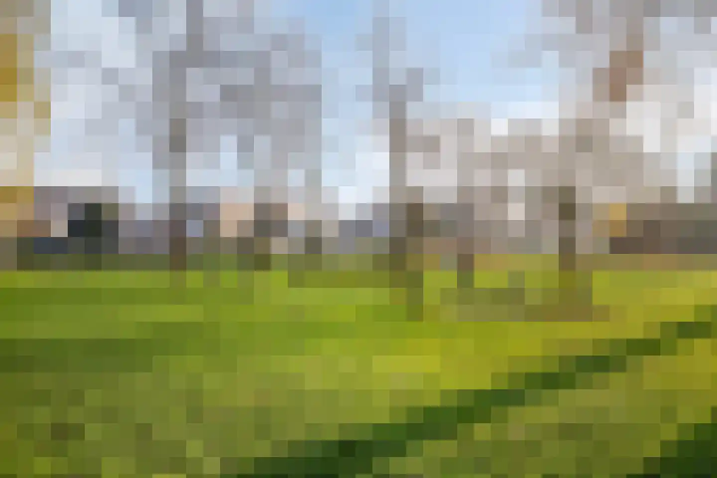 Vrijhof 36 Krimpen aan den IJssel thumbnail 32