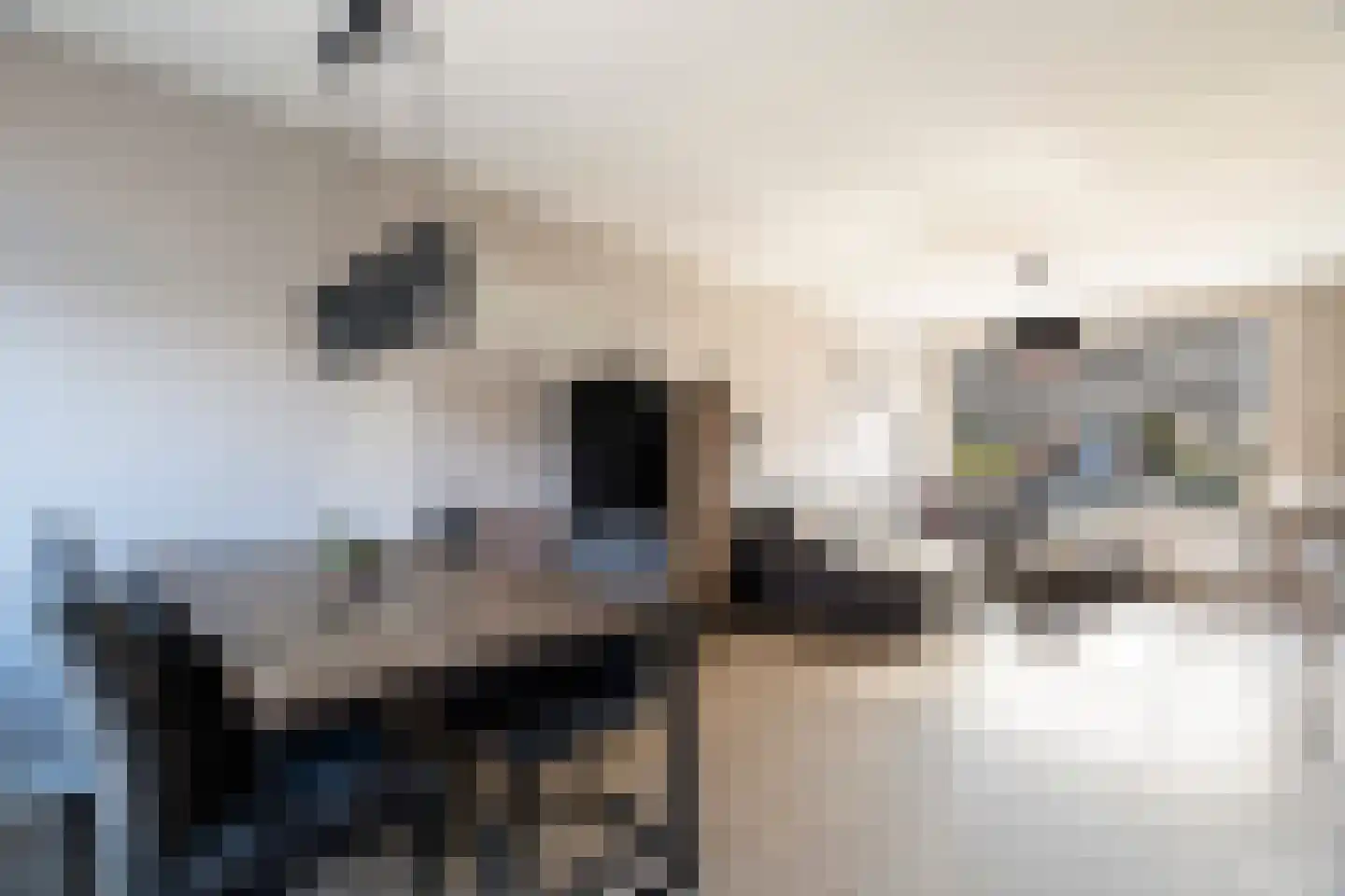 Vrijhof 6 Krimpen aan den IJssel thumbnail 4