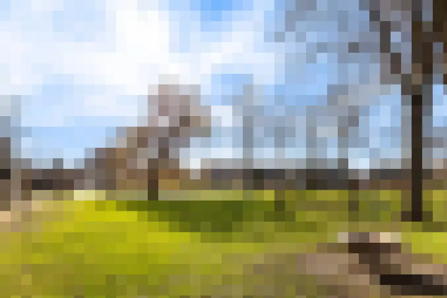 Vrijhof 6 Krimpen aan den IJssel thumbnail 42