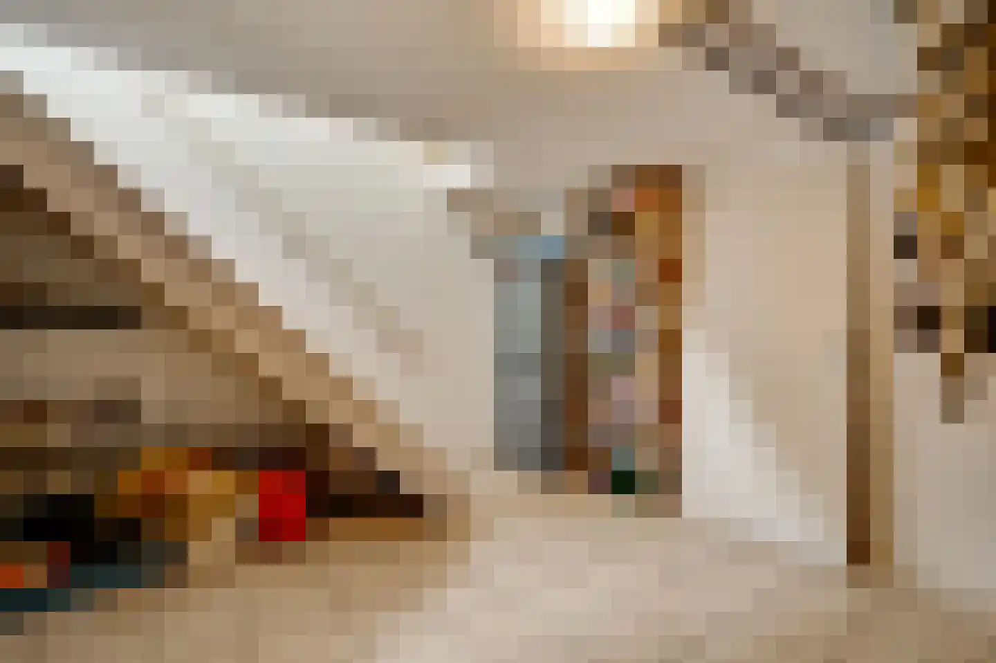 Vrijkenstraat 13 Roggel thumbnail 11