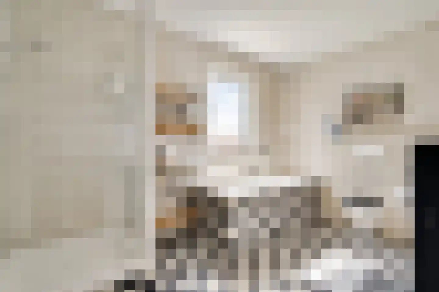 Vrijkenstraat 13 Roggel thumbnail 17