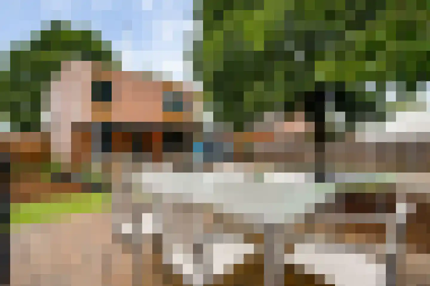Vrijkenstraat 13 Roggel thumbnail 19