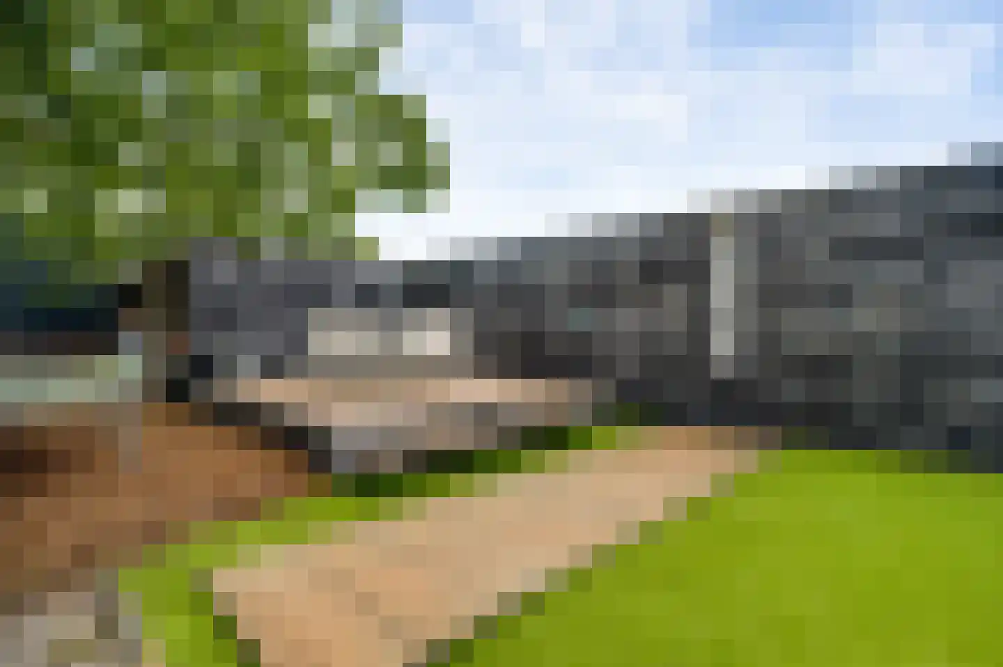 Vrijkenstraat 13 Roggel thumbnail 20