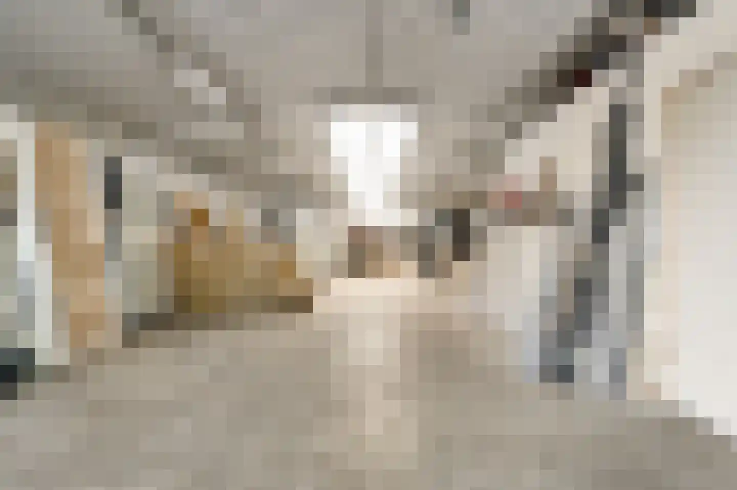 Vrijkenstraat 13 Roggel thumbnail 25