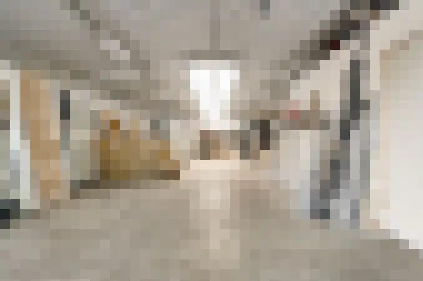 Vrijkenstraat 13 Roggel thumbnail 26
