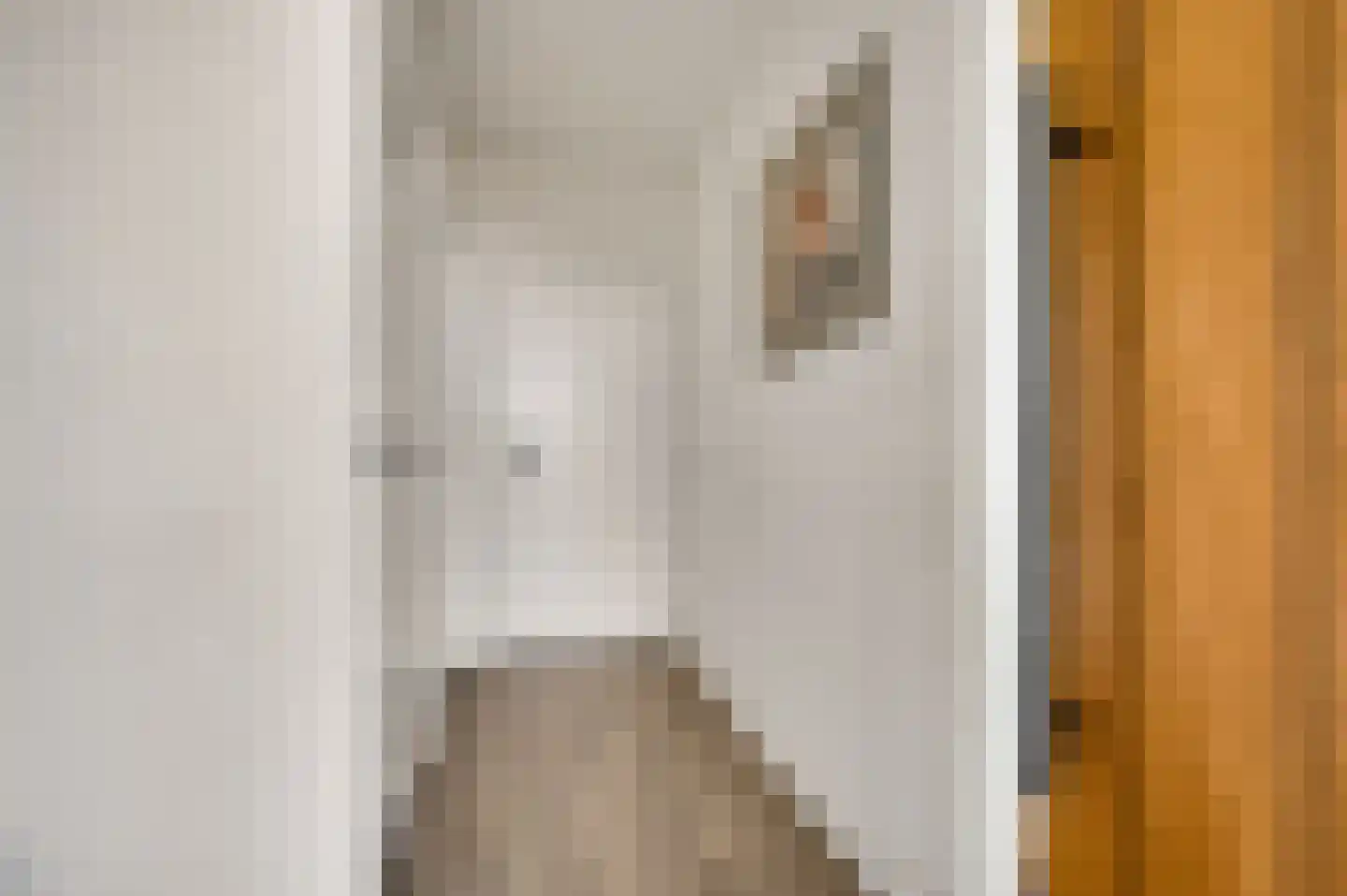 Vrijkenstraat 13 Roggel thumbnail 4