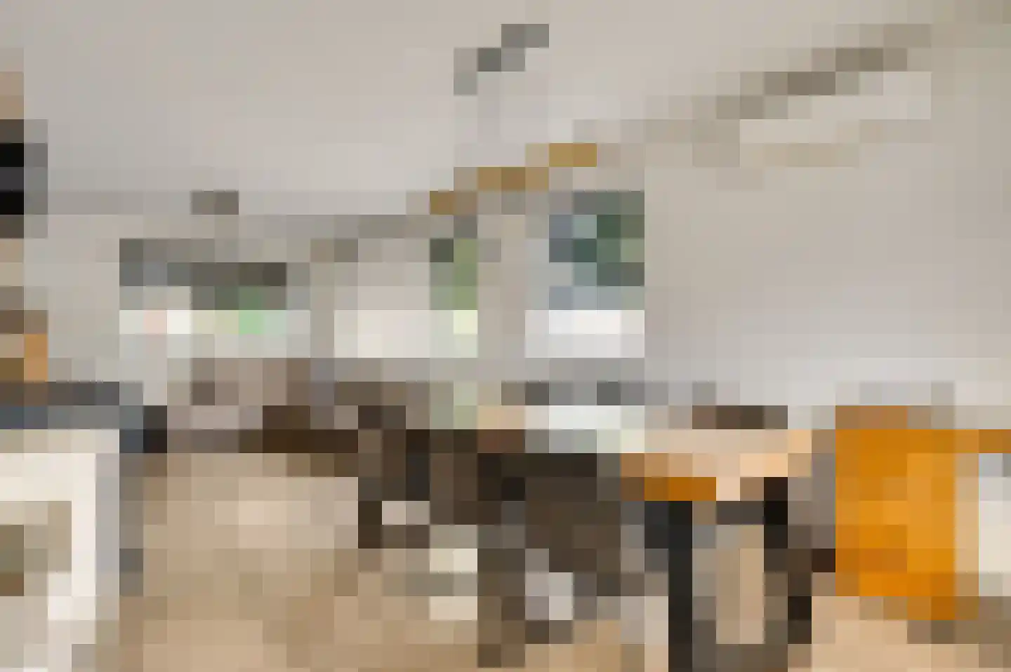 Vrijkenstraat 13 Roggel thumbnail 5