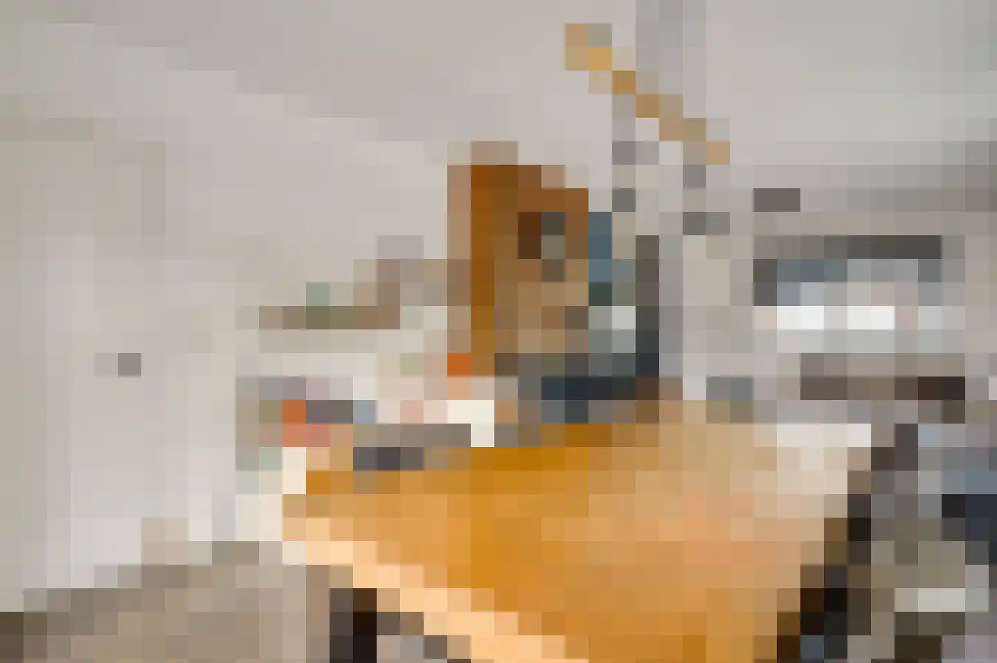 Vrijkenstraat 13 Roggel thumbnail 6