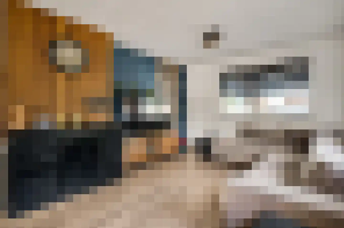 Vrijkenstraat 13 Roggel thumbnail 7