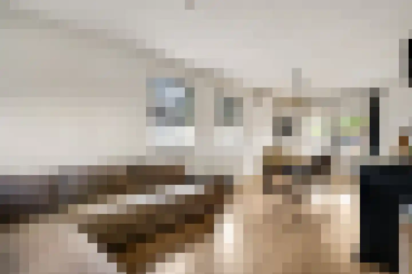 Vrijkenstraat 13 Roggel thumbnail 8