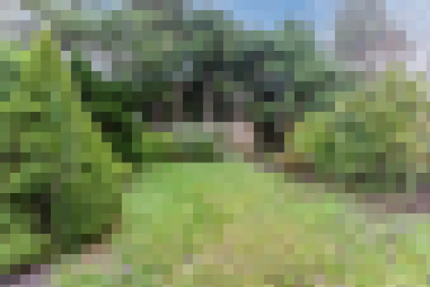 Vrijkensven 27 Eindhoven thumbnail 37