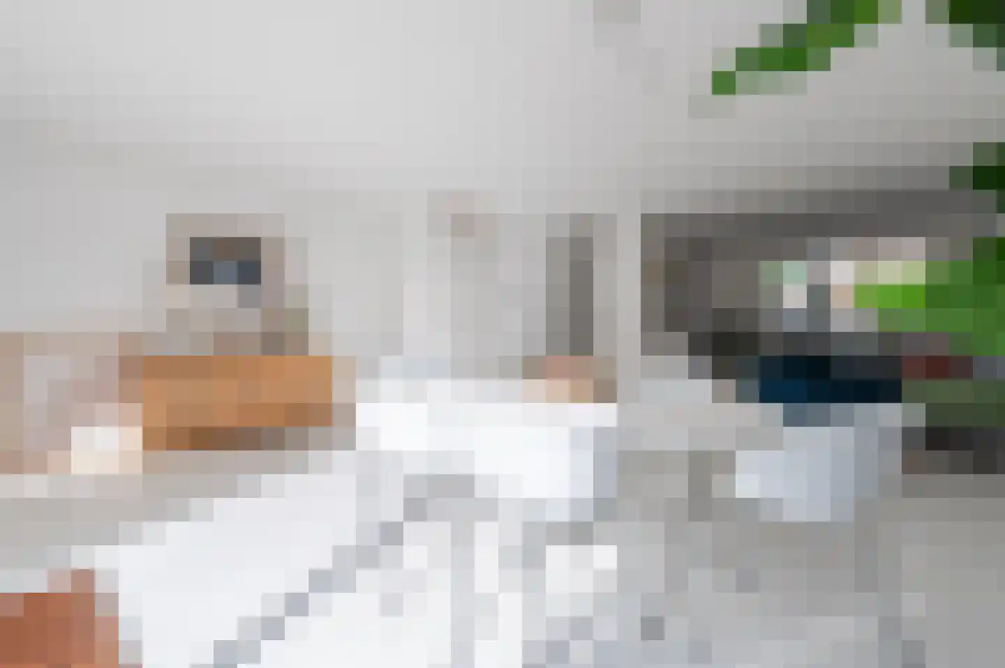 Vrijkensven 3 Eindhoven thumbnail 12