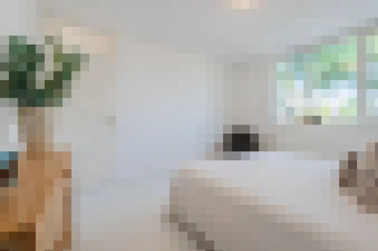 Vrijkensven 3 Eindhoven thumbnail 22