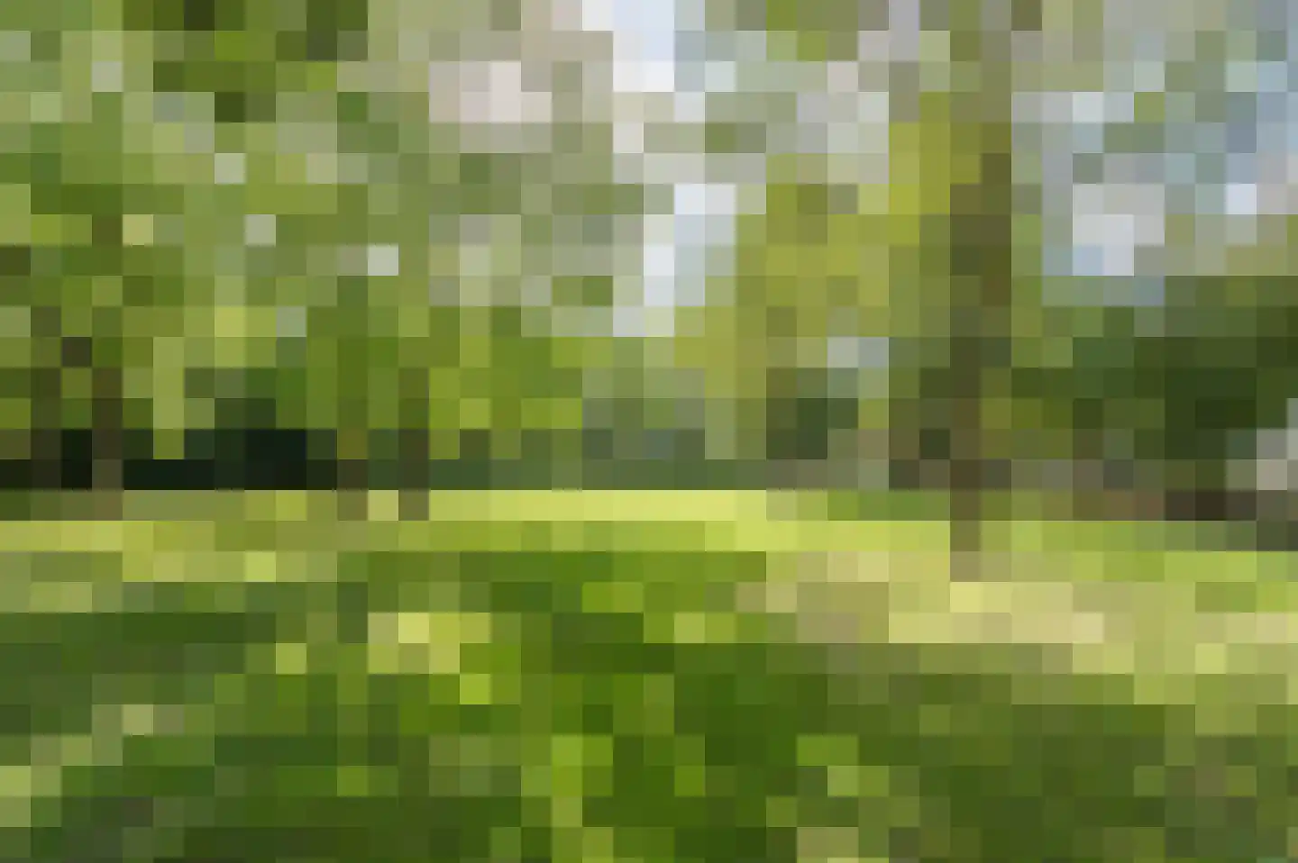Vrijkensven 3 Eindhoven thumbnail 46