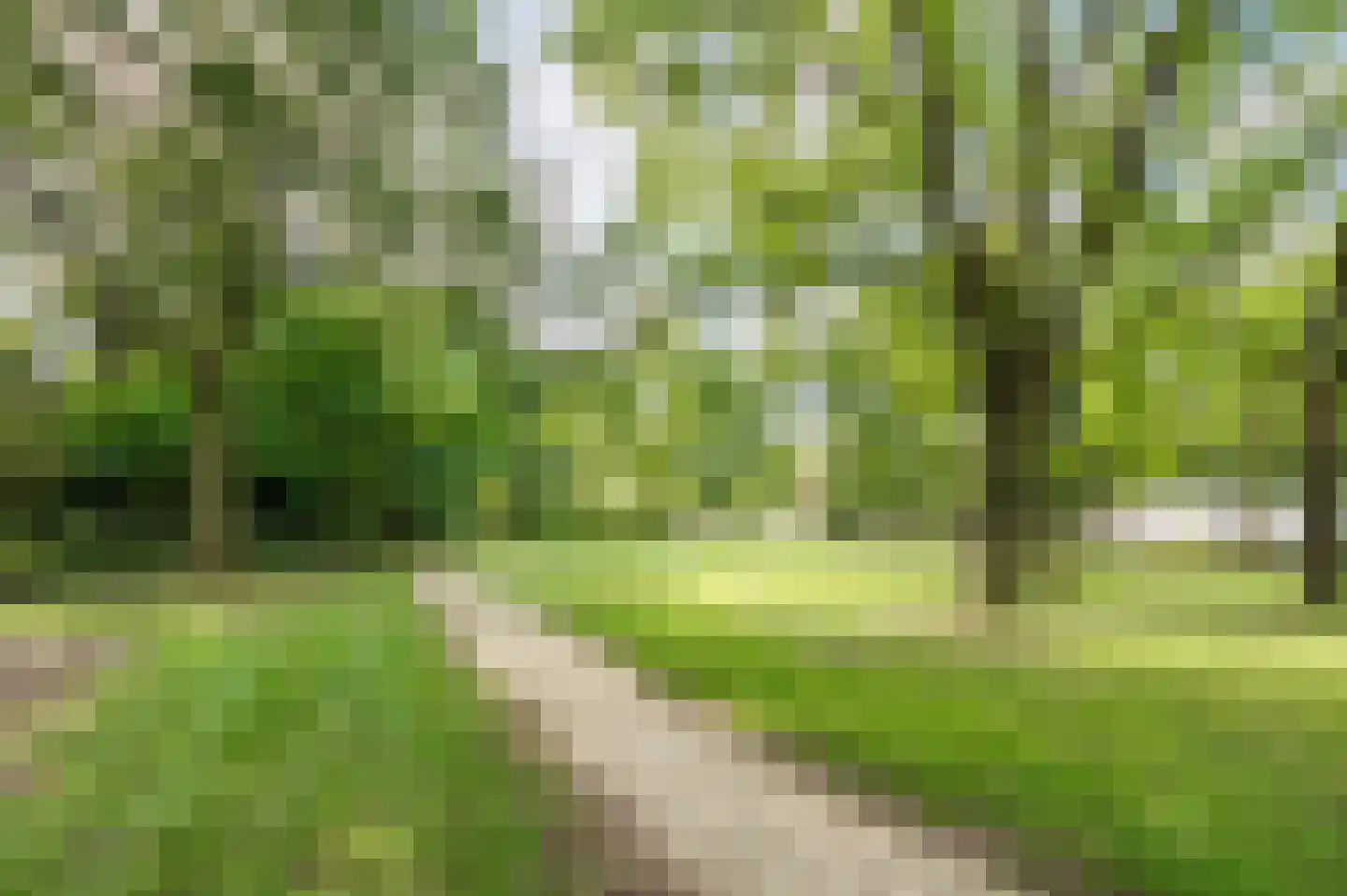 Vrijkensven 3 Eindhoven thumbnail 47