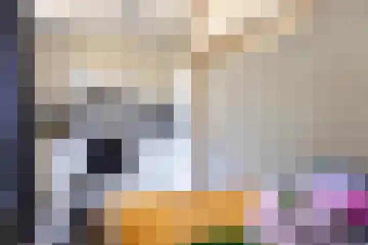 Vrijkensven 4 Eindhoven thumbnail 11