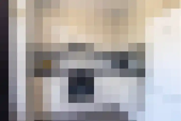 Vrijkensven 4 Eindhoven thumbnail 12