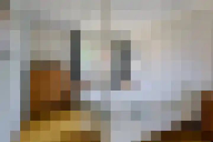 Vrijkensven 4 Eindhoven thumbnail 15