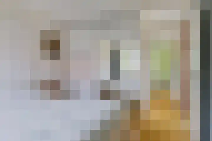 Vrijkensven 4 Eindhoven thumbnail 16