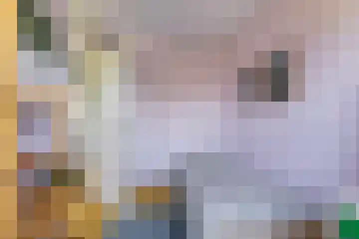 Vrijkensven 4 Eindhoven thumbnail 18