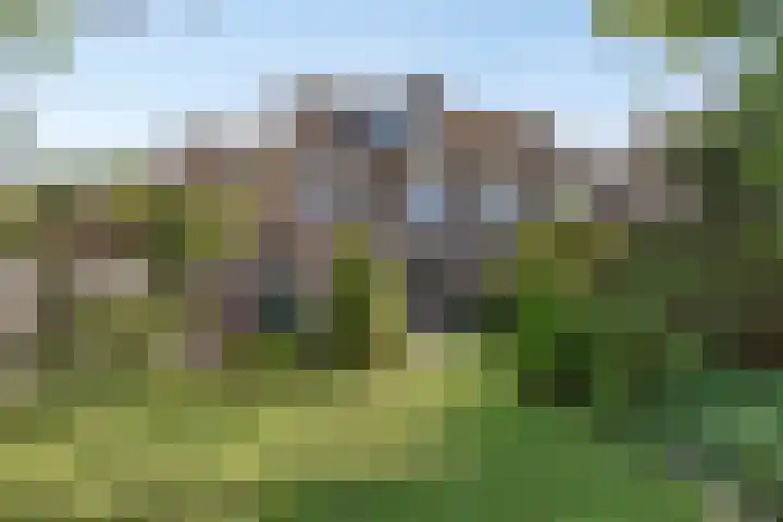 Vrijkensven 4 Eindhoven thumbnail 23