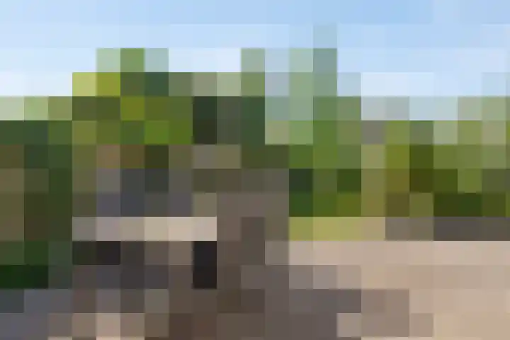 Vrijkensven 4 Eindhoven thumbnail 24