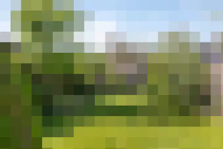 Vrijkensven 4 Eindhoven thumbnail 25