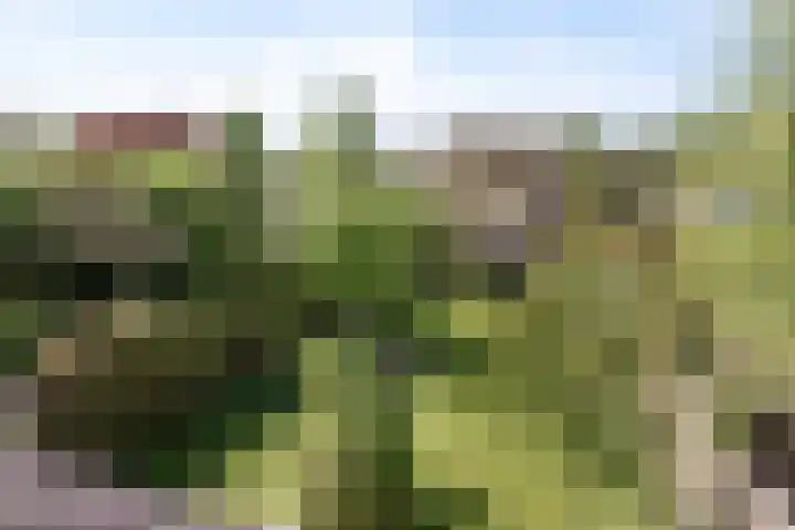 Vrijkensven 4 Eindhoven thumbnail 26