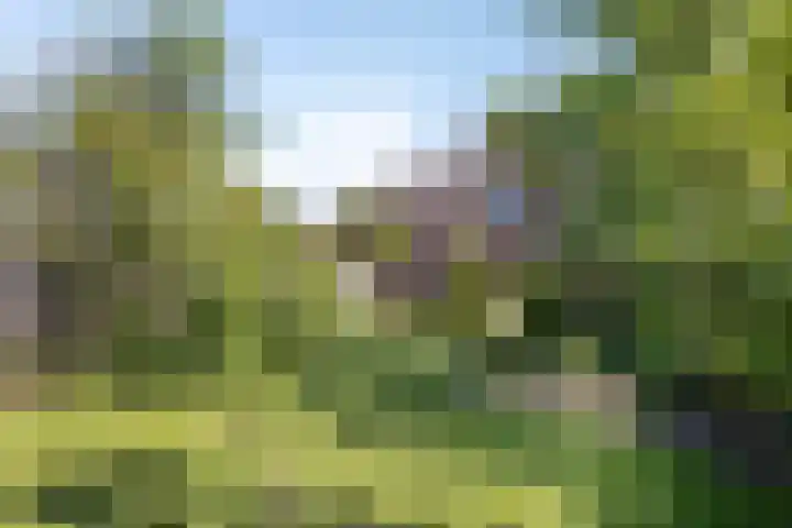 Vrijkensven 4 Eindhoven thumbnail 27