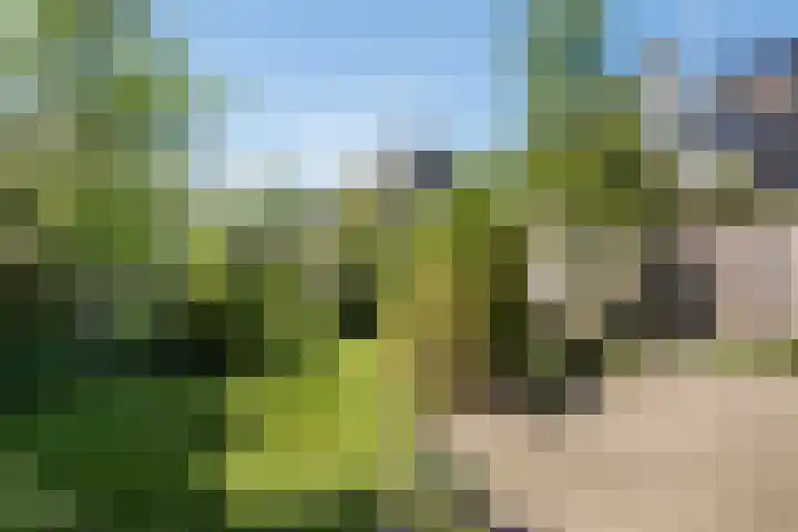 Vrijkensven 4 Eindhoven thumbnail 28