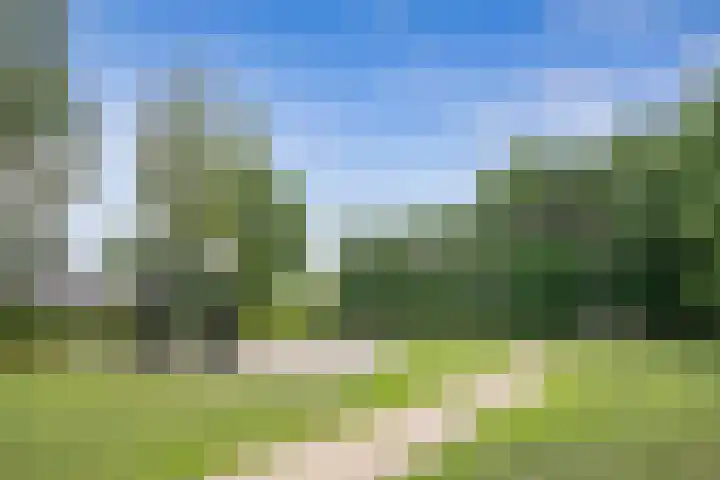 Vrijkensven 4 Eindhoven thumbnail 32