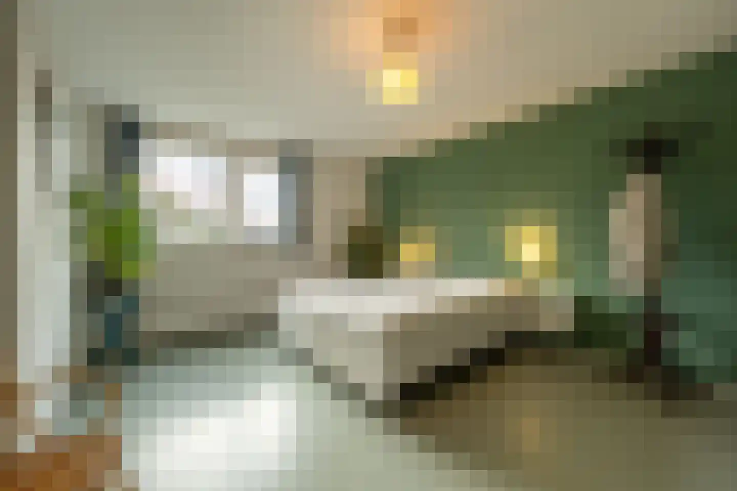 Vrijland 1 Mijnsheerenland thumbnail 11