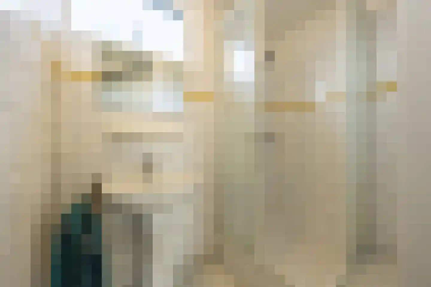 Vrijland 1 Mijnsheerenland thumbnail 17