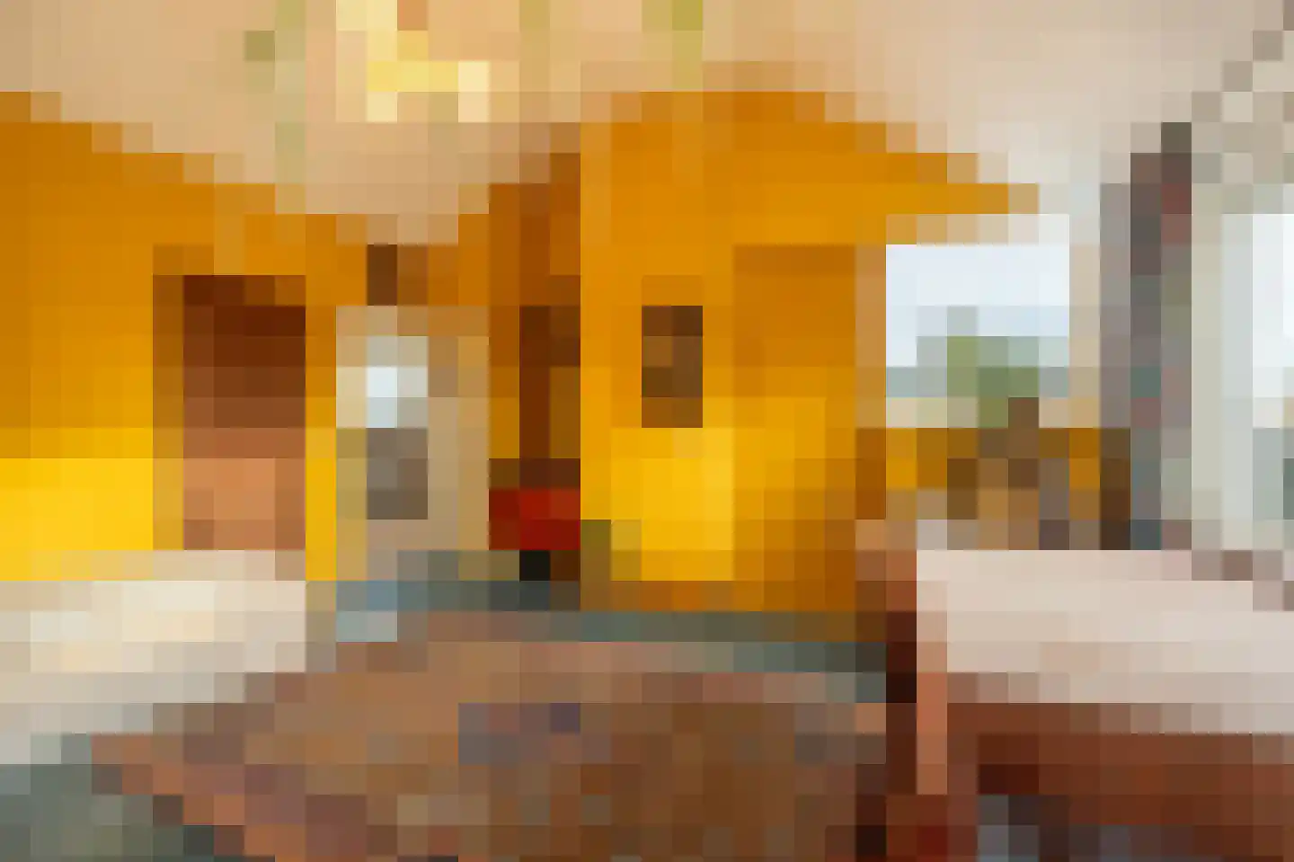 Vrijland 1 Mijnsheerenland thumbnail 20