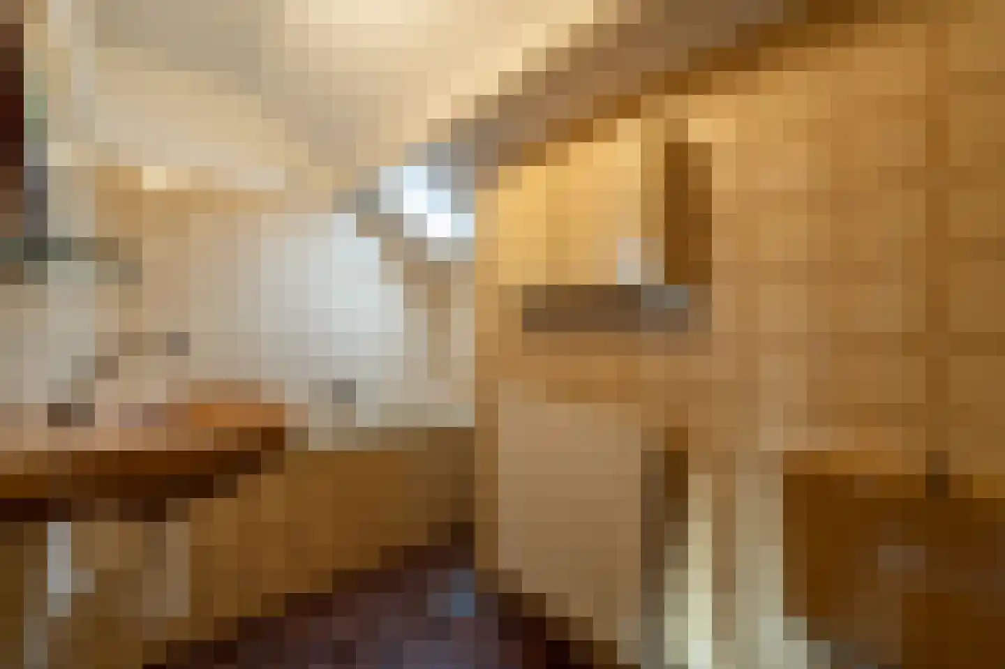 Vrijland 1 Mijnsheerenland thumbnail 21