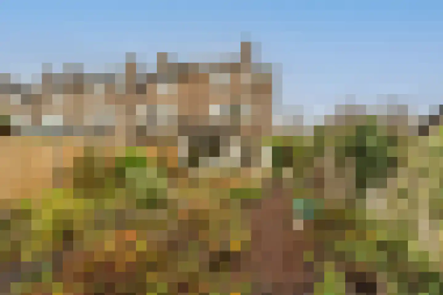 Vrijland 1 Mijnsheerenland thumbnail 24