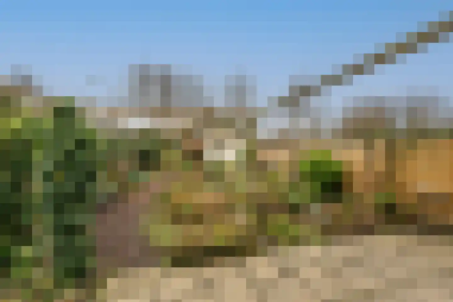 Vrijland 1 Mijnsheerenland thumbnail 26