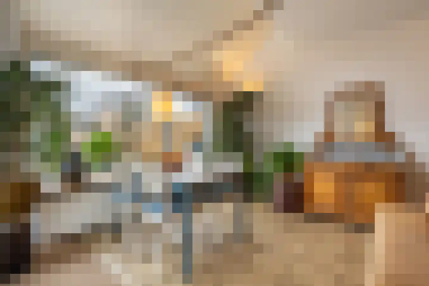 Vrijland 1 Mijnsheerenland thumbnail 7