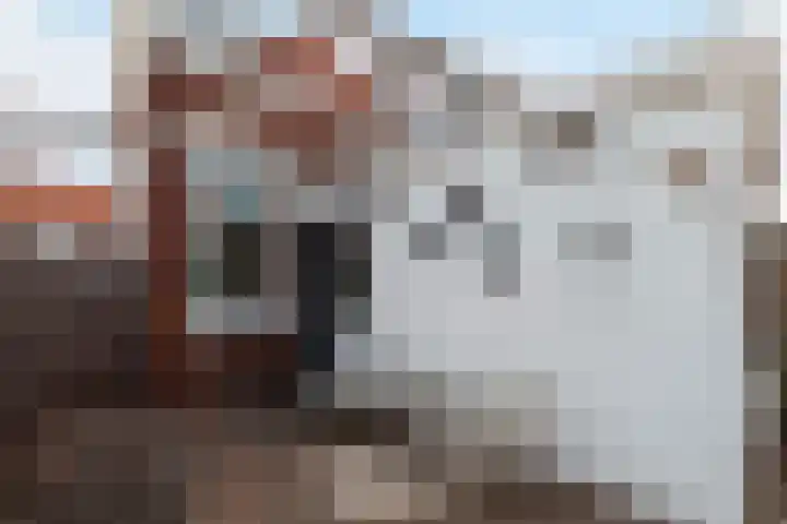 Vrijlandtstraat 2 Pernis Rotterdam thumbnail 22
