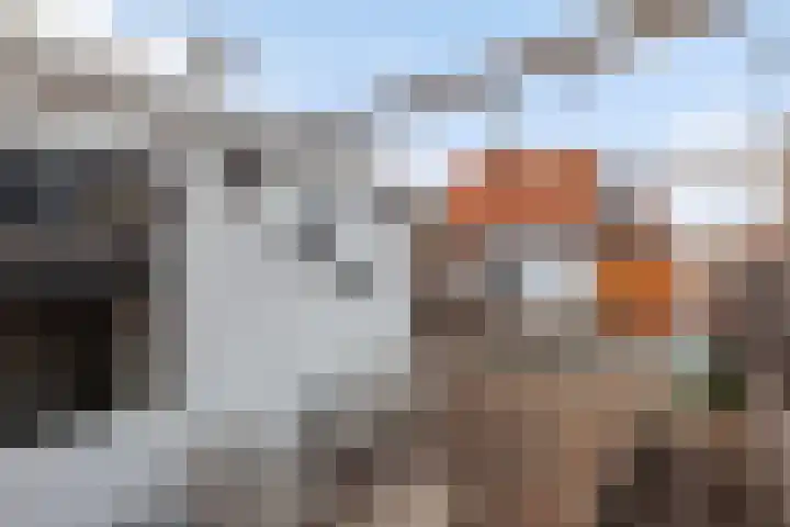 Vrijlandtstraat 2 Pernis Rotterdam thumbnail 23