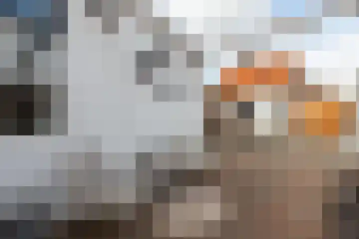 Vrijlandtstraat 2 Pernis Rotterdam thumbnail 24